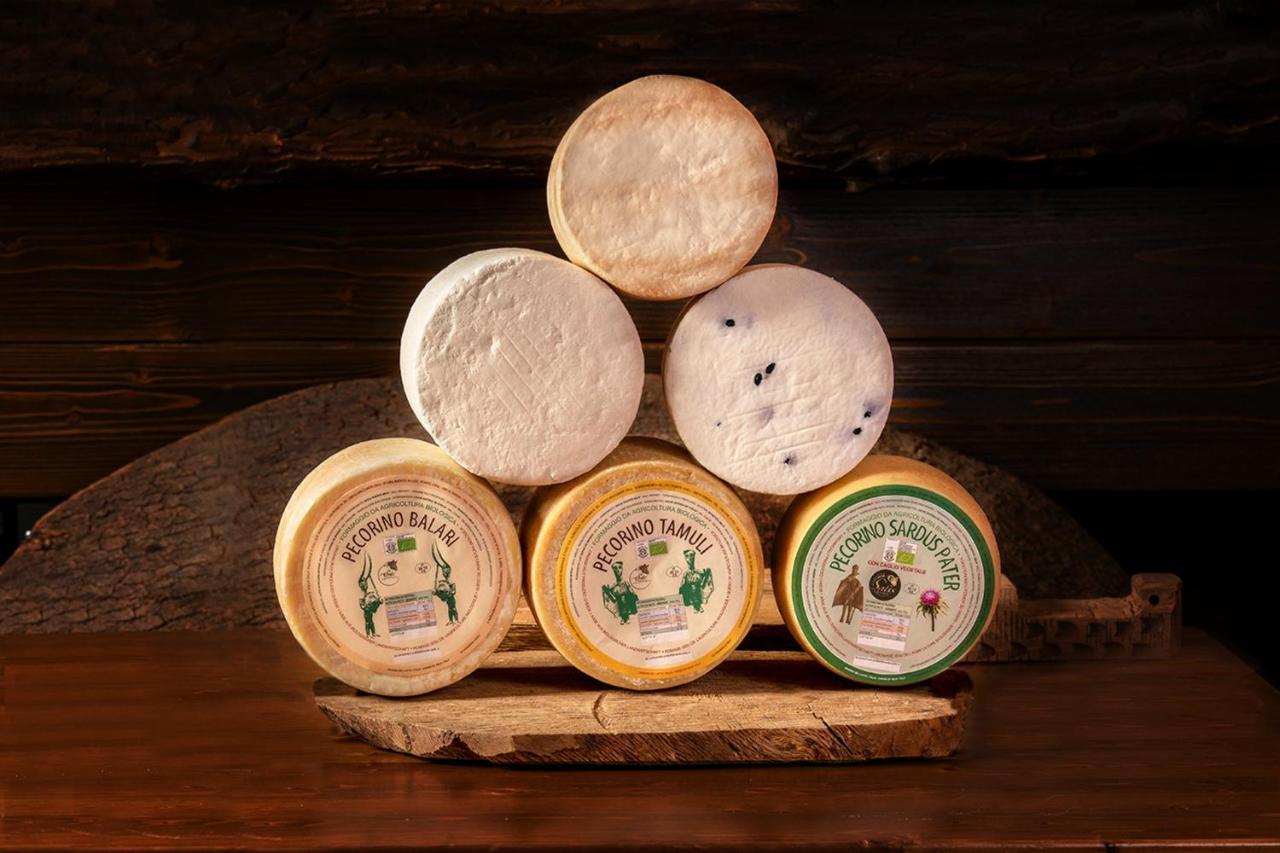 Agriturismo Nuragh'Elighe Sindia Luaran gambar