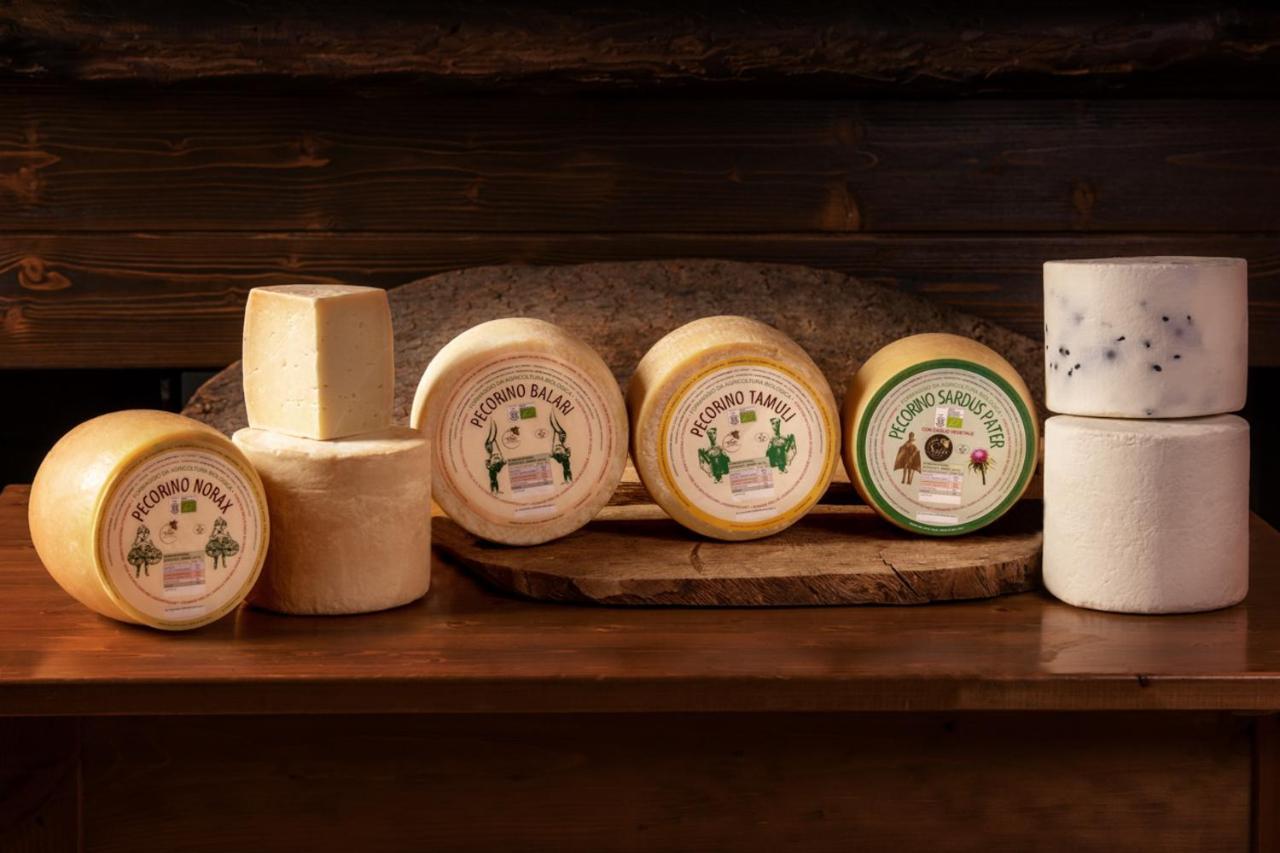 Agriturismo Nuragh'Elighe Sindia Luaran gambar