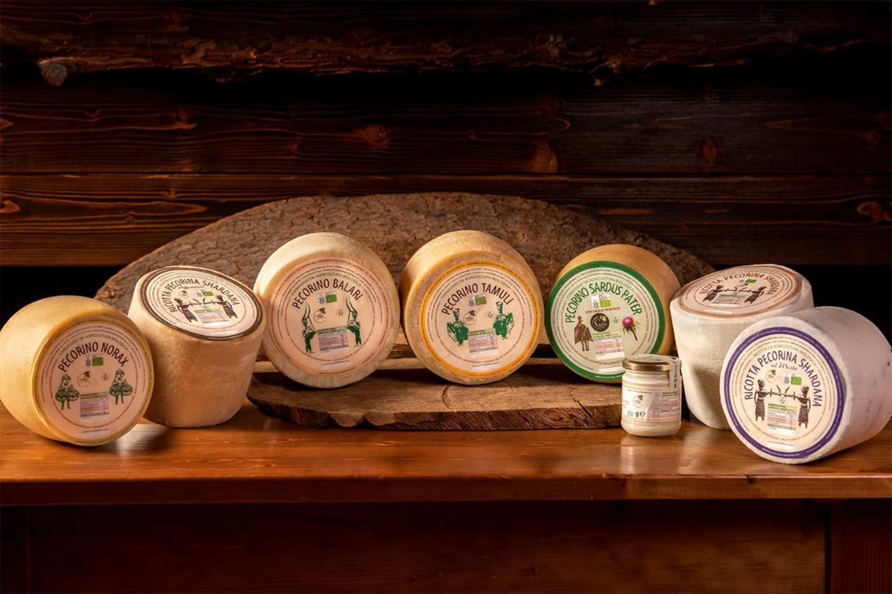 Agriturismo Nuragh'Elighe Sindia Luaran gambar