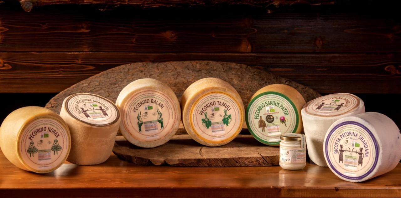 Agriturismo Nuragh'Elighe Sindia Luaran gambar