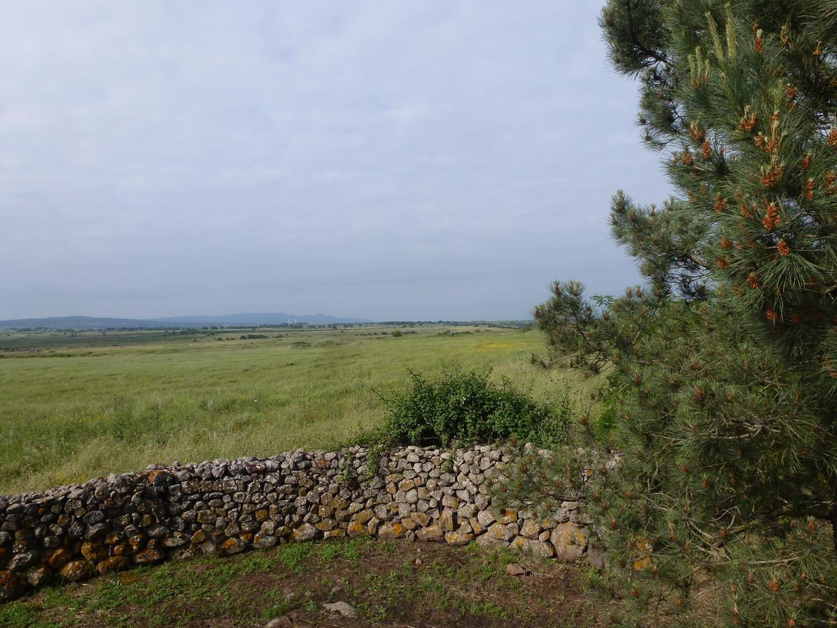Agriturismo Nuragh'Elighe Sindia Luaran gambar