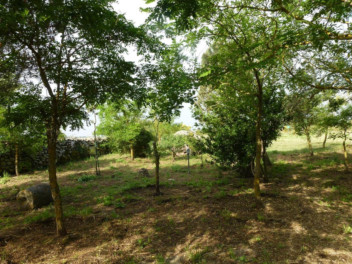 Agriturismo Nuragh'Elighe Sindia Luaran gambar