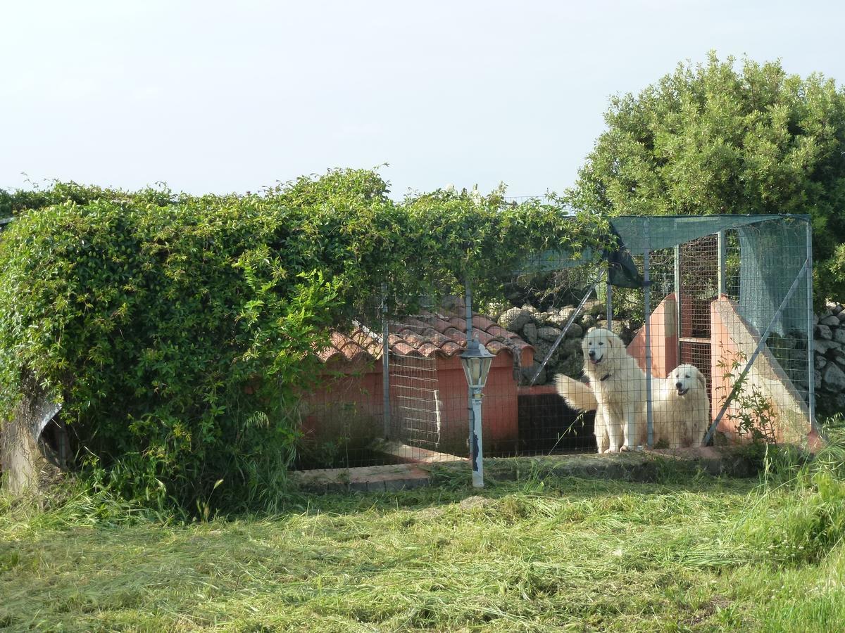 Agriturismo Nuragh'Elighe Sindia Luaran gambar